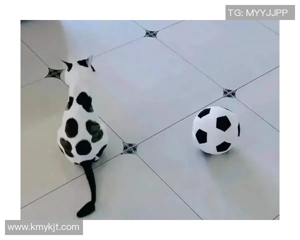 足球明星与猫咪的亲密关系谁是养猫最多的球场巨星 足球明星与猫咪的亲密关系谁是养猫最多的球场巨星