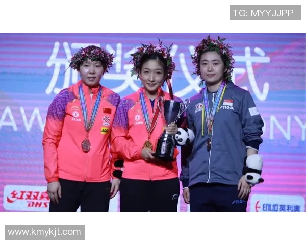 南京乒乓球队在世界杯预选赛中的拼搏历程与荣耀追寻 南京乒乓球队在世界杯预选赛中的拼搏历程与荣耀追寻